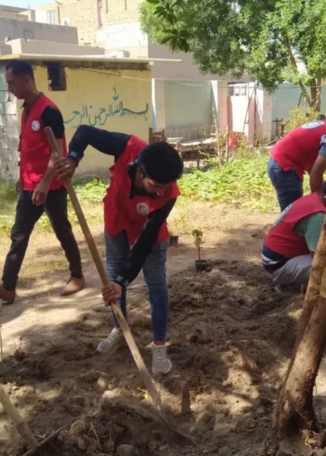 To lessen the occurrence of desertification, The Iraqi Red Crescent Society begins a tree-planting endeavour in Diwaniyah Governorate